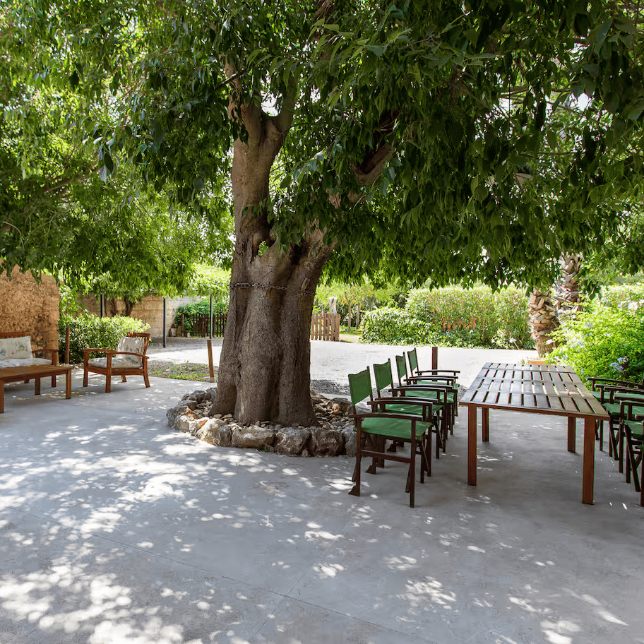 Yoga Retreat "Back to YOU" | Mallorca, Juli 2026