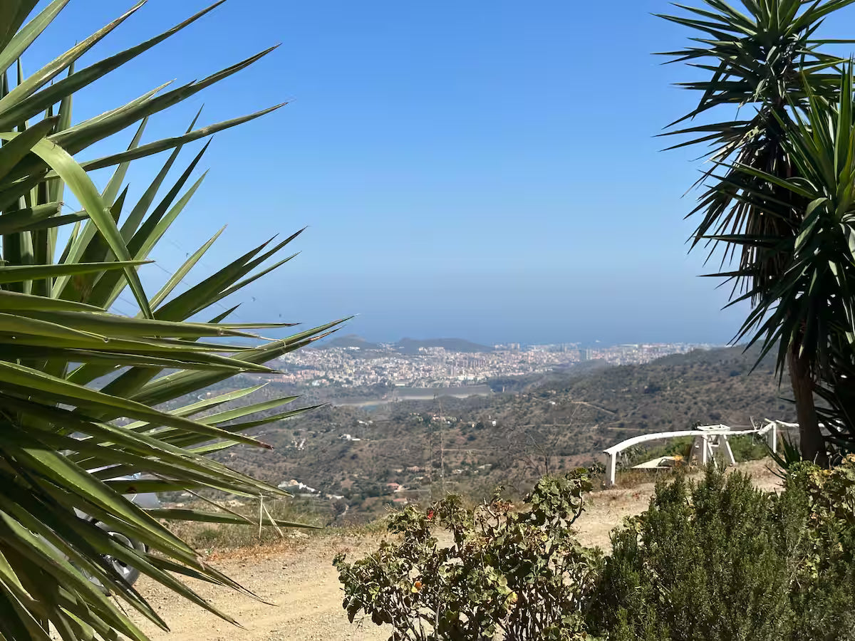 Yoga, Nervensystem & Soulfood Retreat "Calm within" | Málaga, September 2026